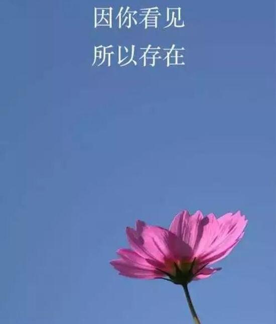 微信更新7.0 迅蟒自媒体助手带你解读新功能